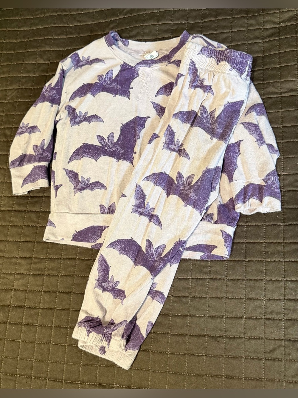 Kate Quinn | jogger set | purple bats 🦇 | 12-18m